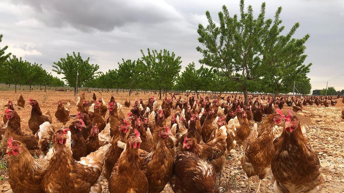 Sandra García Carmona, gerente de Granja Agas