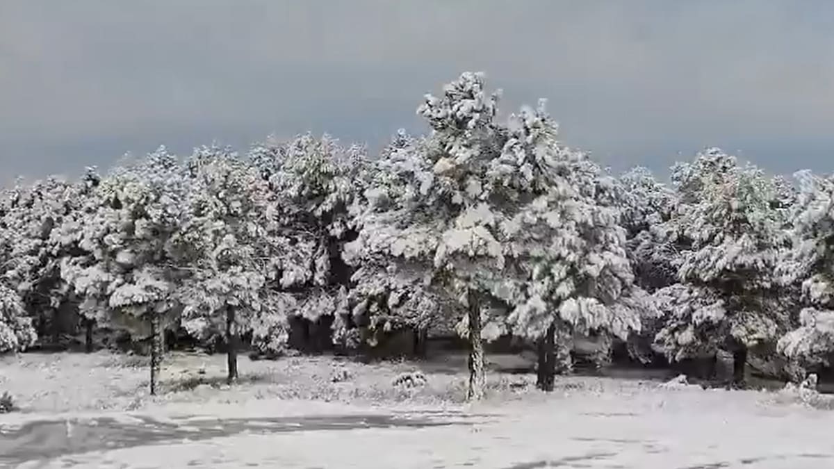 El 112 ofrece diversos consejos por si han pensado ir a ver la nieve