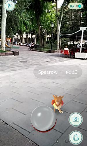 Un Spearow nos aparece en la plaza del ayuntamiento