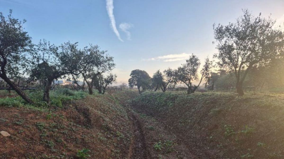 El Govern limpia 715 metros del torrente de Buscastell