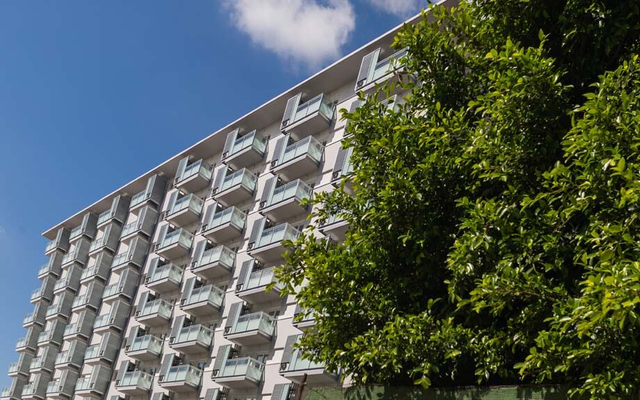 Edificio con árbol en primer plano