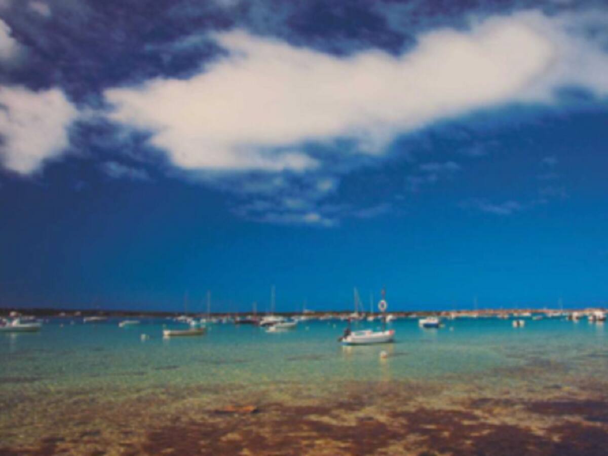 Sa Unió acusa al gobierno del Consell de Formentera de incumplir su promesa de consenso en la regulación de s'Estany des Peix