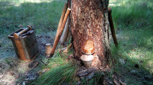La Asociación tiene cerca de 80 socios en la provincia de Cuenca.