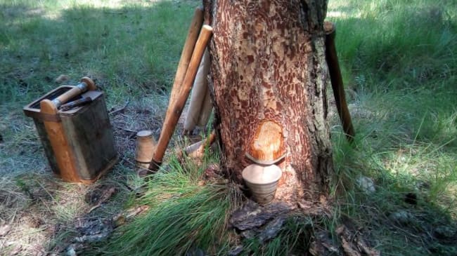 La Asociación tiene cerca de 80 socios en la provincia de Cuenca.