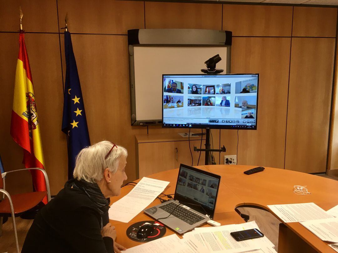 La consejera de Educación, Carmen Suárez, durante la Conferencia Sectorial. 