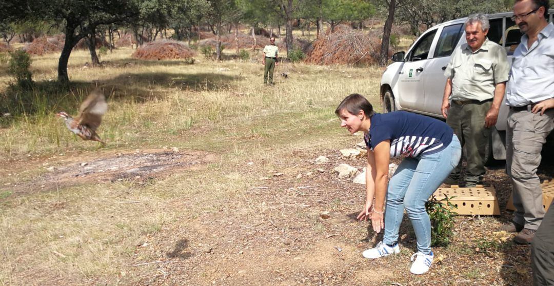 La delegada de Agricultura, Pesca, Ganadería y Desarrollo Sostenible, Soledad Aranda, suelta una de las perdices en el Parque Natural de Despeñaperros.