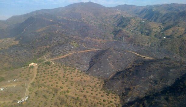 El fuego ha quemado ya 200 hectáreas de una zona agrícola abandonada