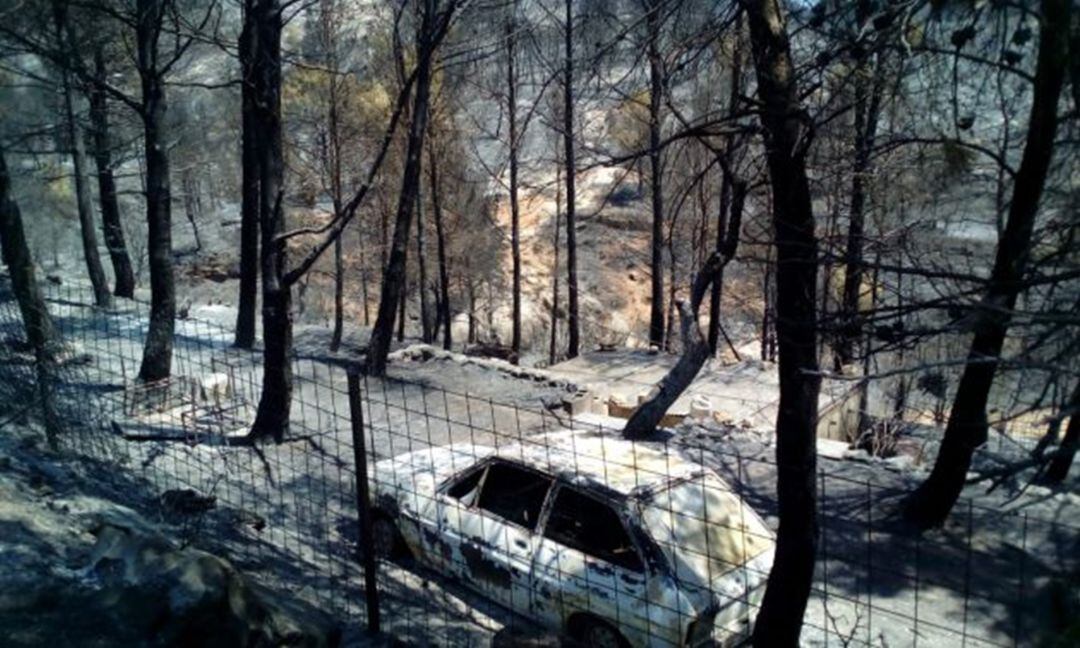 Monte afectado por el incendio del pasado mes de Julio en Beneixama