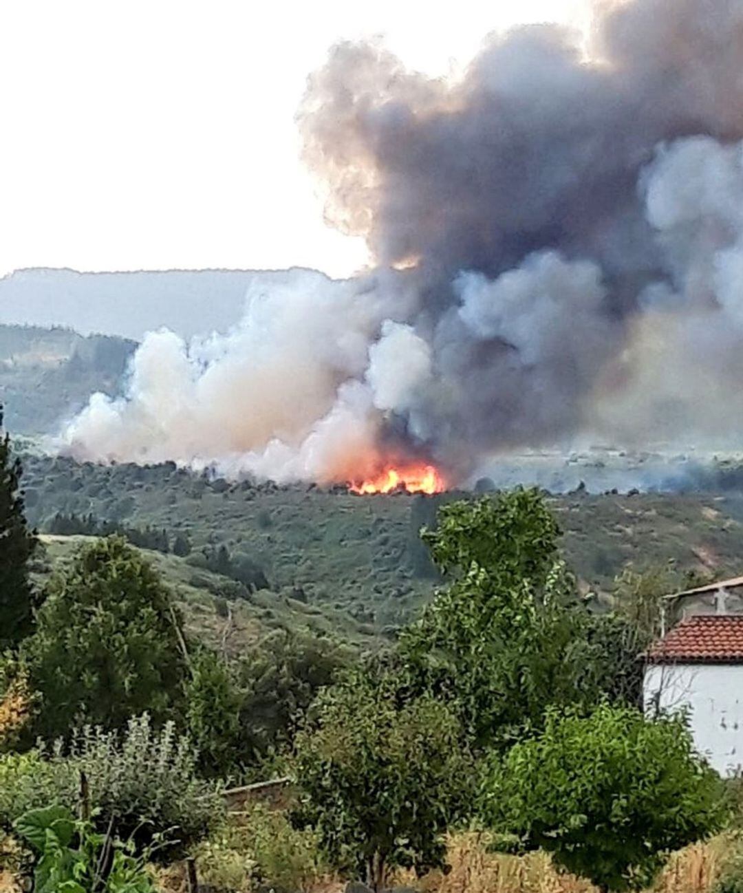 Incendio forestal en Sésamo.