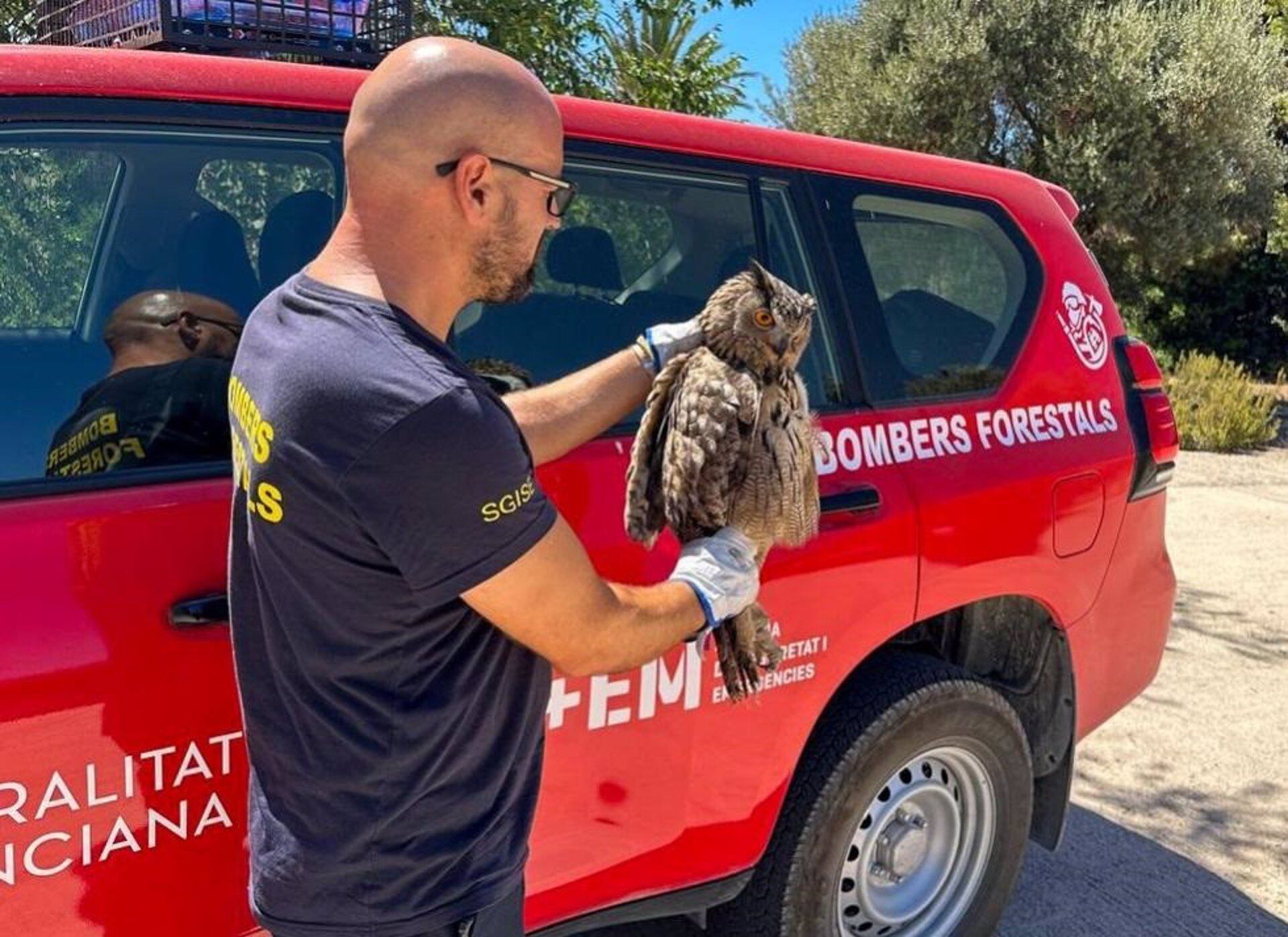 El 112 atiende 11.307 llamadas sobre animales abandonados y especies protegidas en lo que va de año