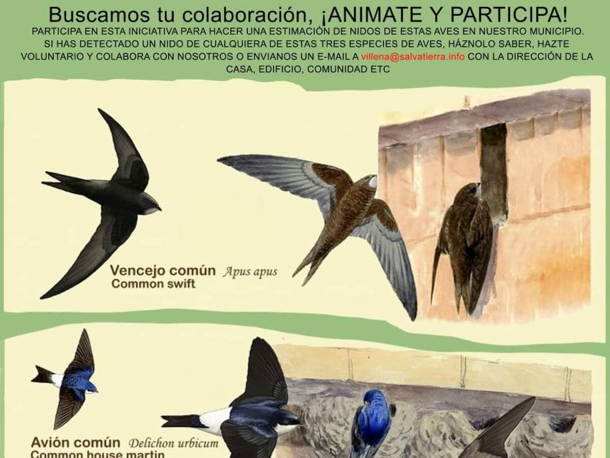 Salvatierra inicia en Villena la campaña "Las tres mosquiteras"