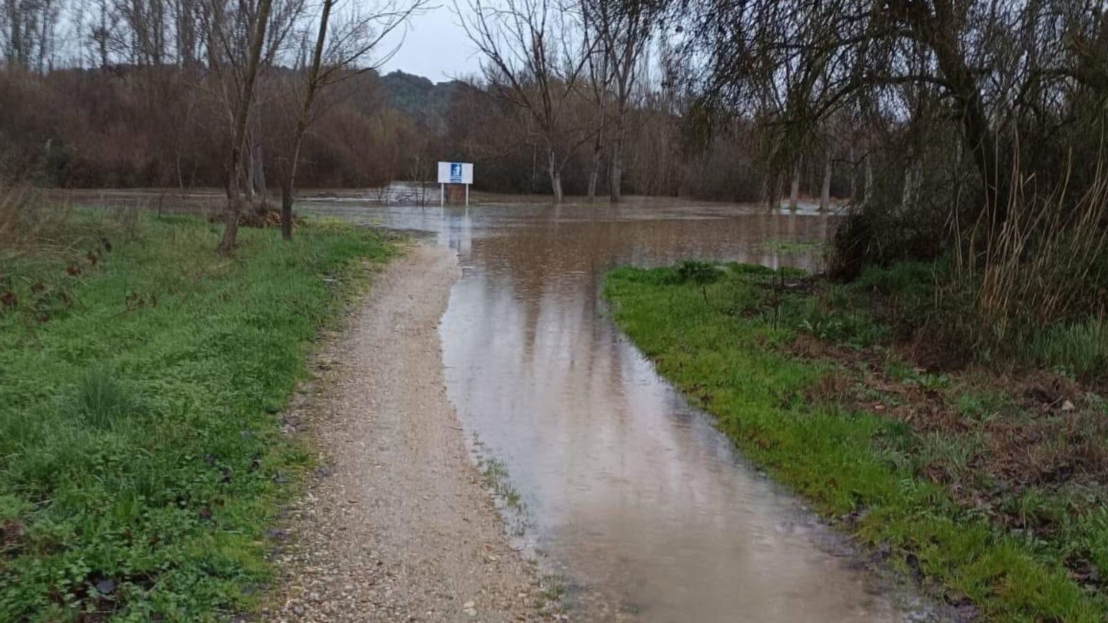 Zonas desbordadas del río Alberche, a su paso por el Casar de Escalona (Toledo) este domingo