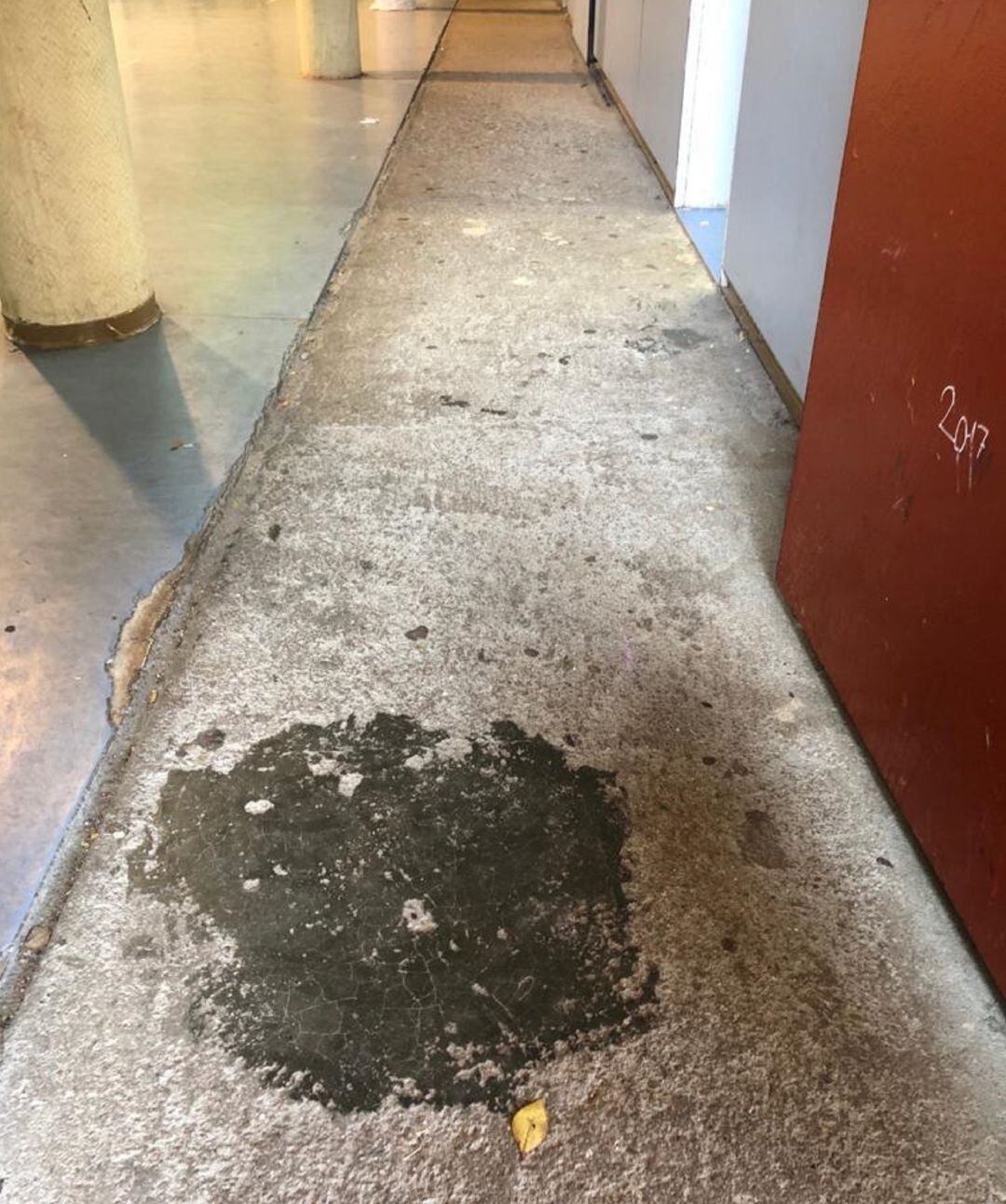 Entrada al gimnasio del colegio público Margarita Xirgú de Móstoles