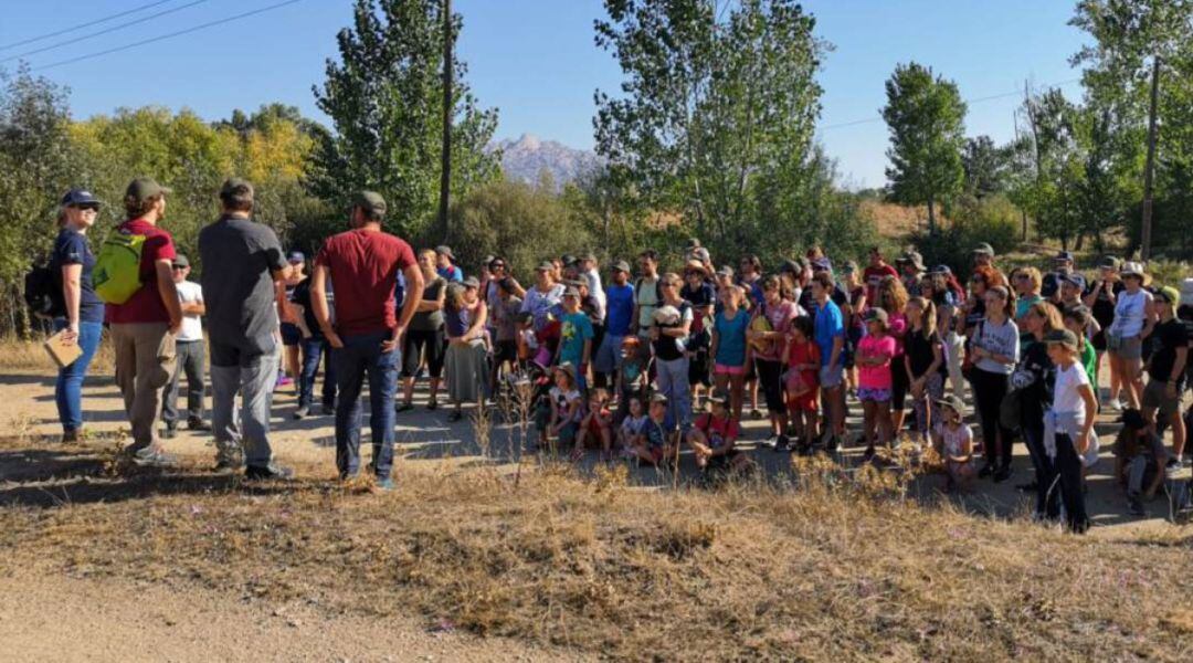 Iniciativas ecológicas en Cerceda