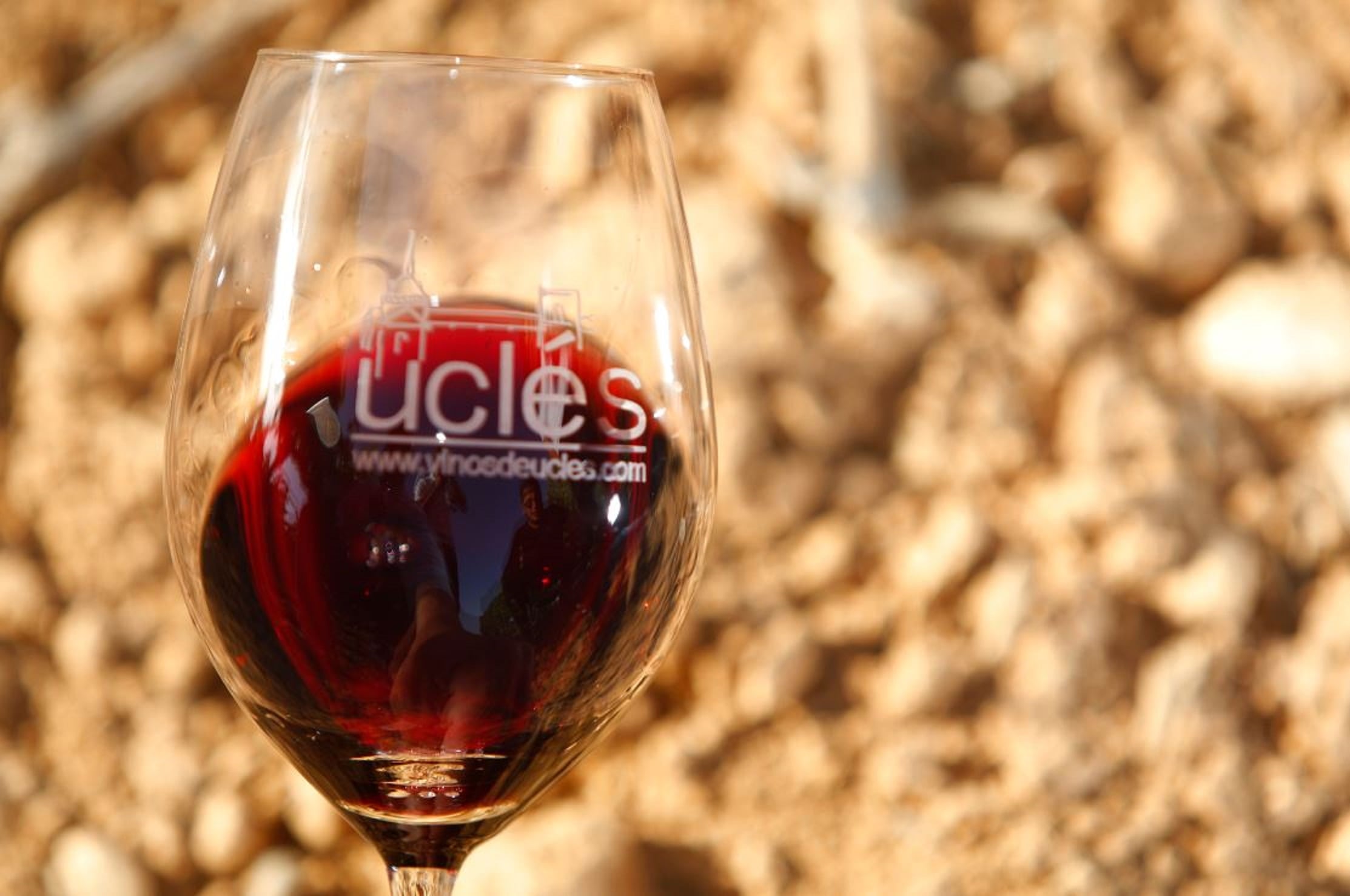 La DO Uclés analiza cómo la vida del suelo mejora la sostenibilidad y la rentabilidad del viñedo.