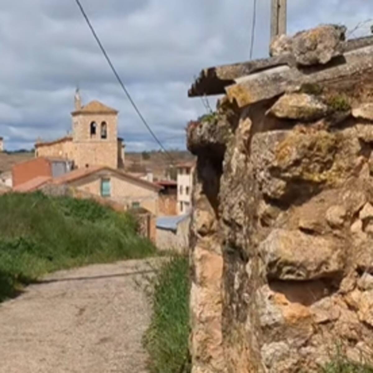 El Ayuntamiento de Anguix alquila una viña