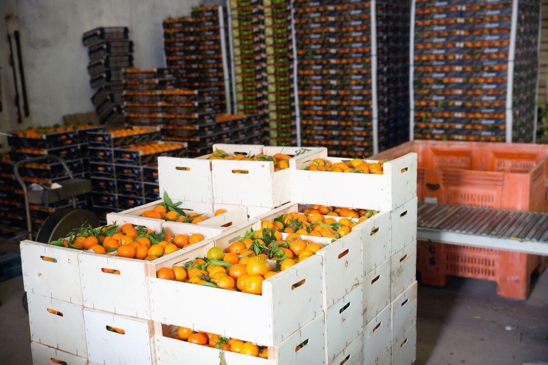 Empresa de cítricos