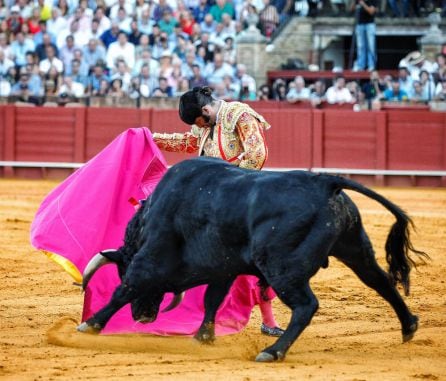 Morante cuajó una gran tarde de toreo con el capote