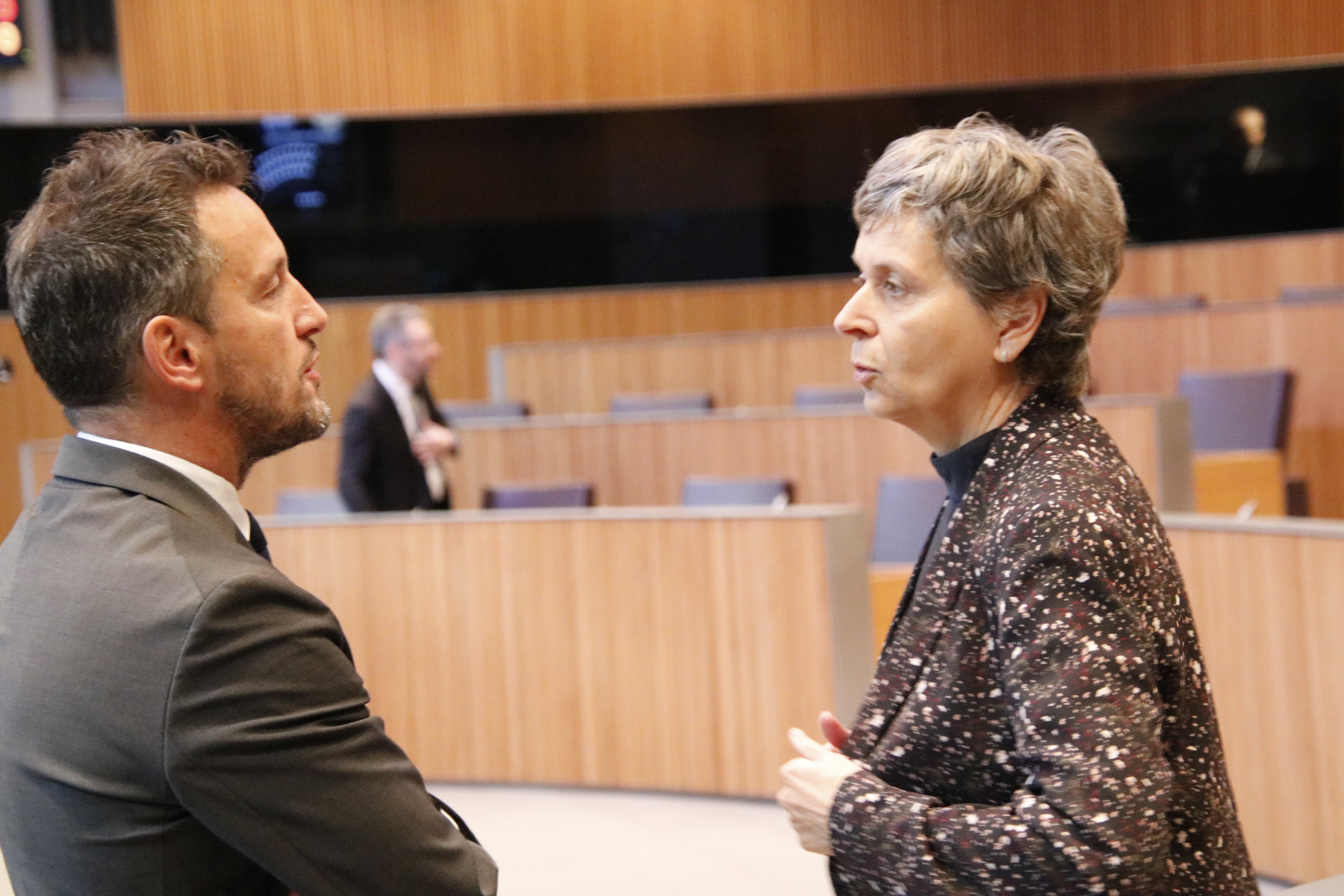 El president del grup parlamentari socialdemòcrata, Pere López, i la consellera general, Susanna Vela.