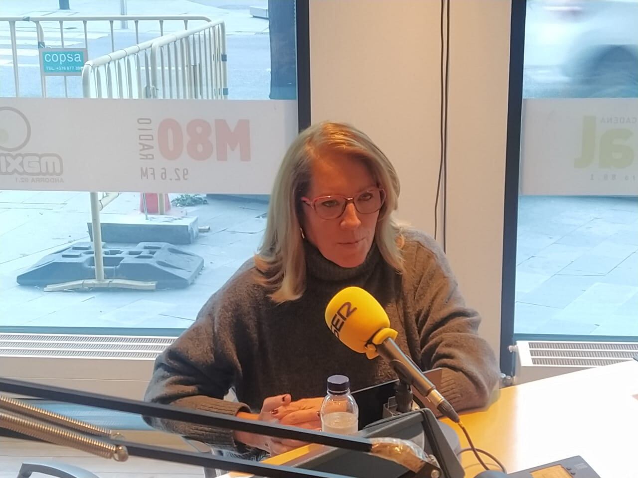 La presidenta de l'ADA, Mònica Codina