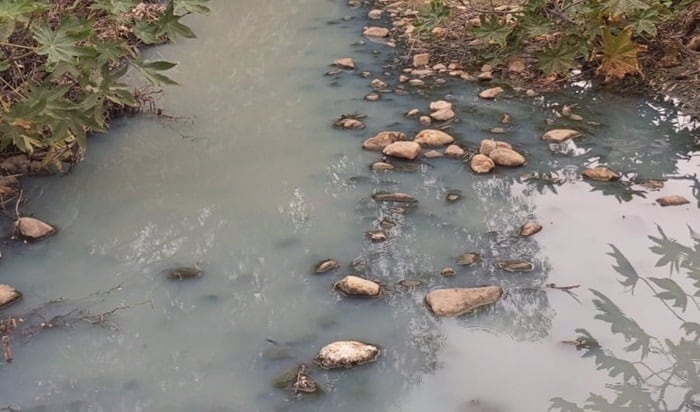 Vertido en el arroyo de los Charcones