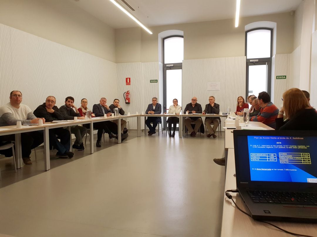 Reunión noveno brote de Xylella.