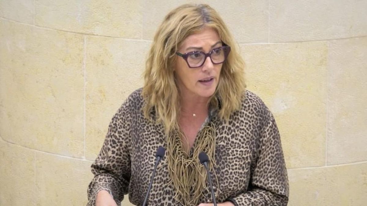 El PRC propone implantar una ratio mínima de plazas para jóvenes con discapacidad intelectual en la oferta de ocio