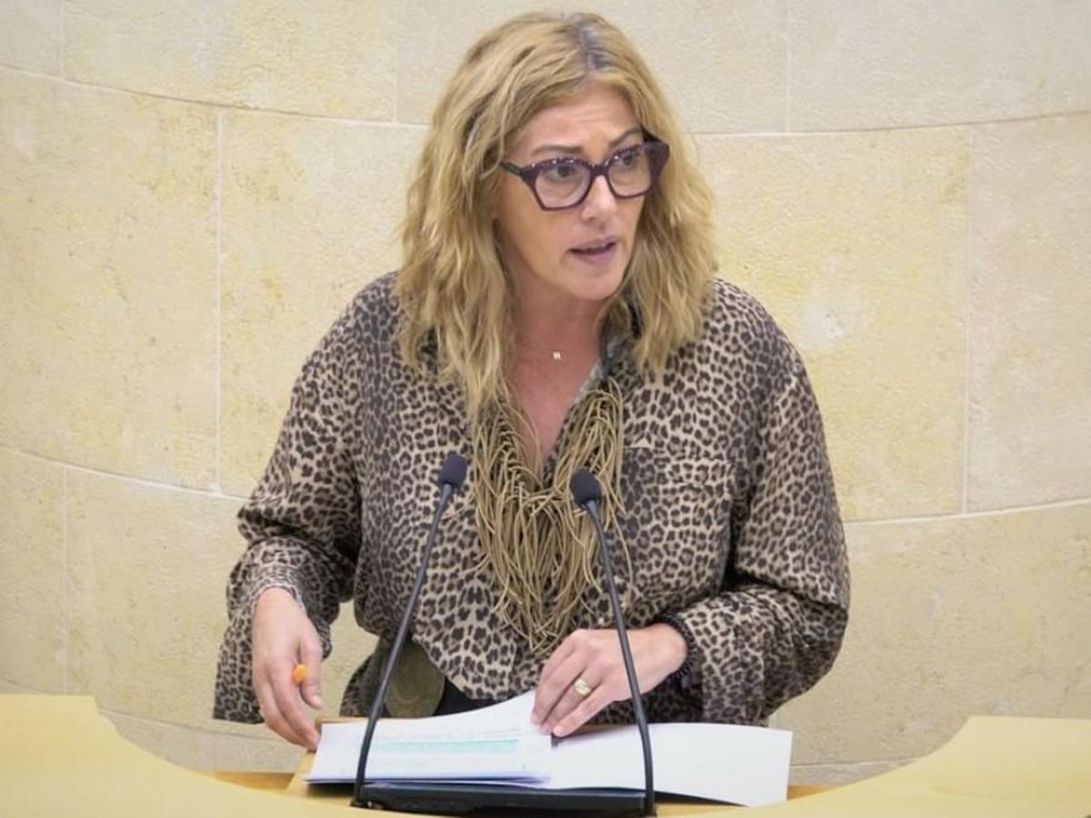 El PRC propone implantar una ratio mínima de plazas para jóvenes con discapacidad intelectual en la oferta de ocio