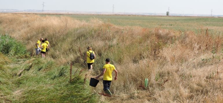 El voluntariado es clave en esta acción medioambiental