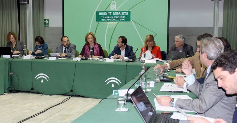 La consejera de Agricultura, Carmen Ortiz (centro), durante la reunión del Consejo Andaluz del Olivar.