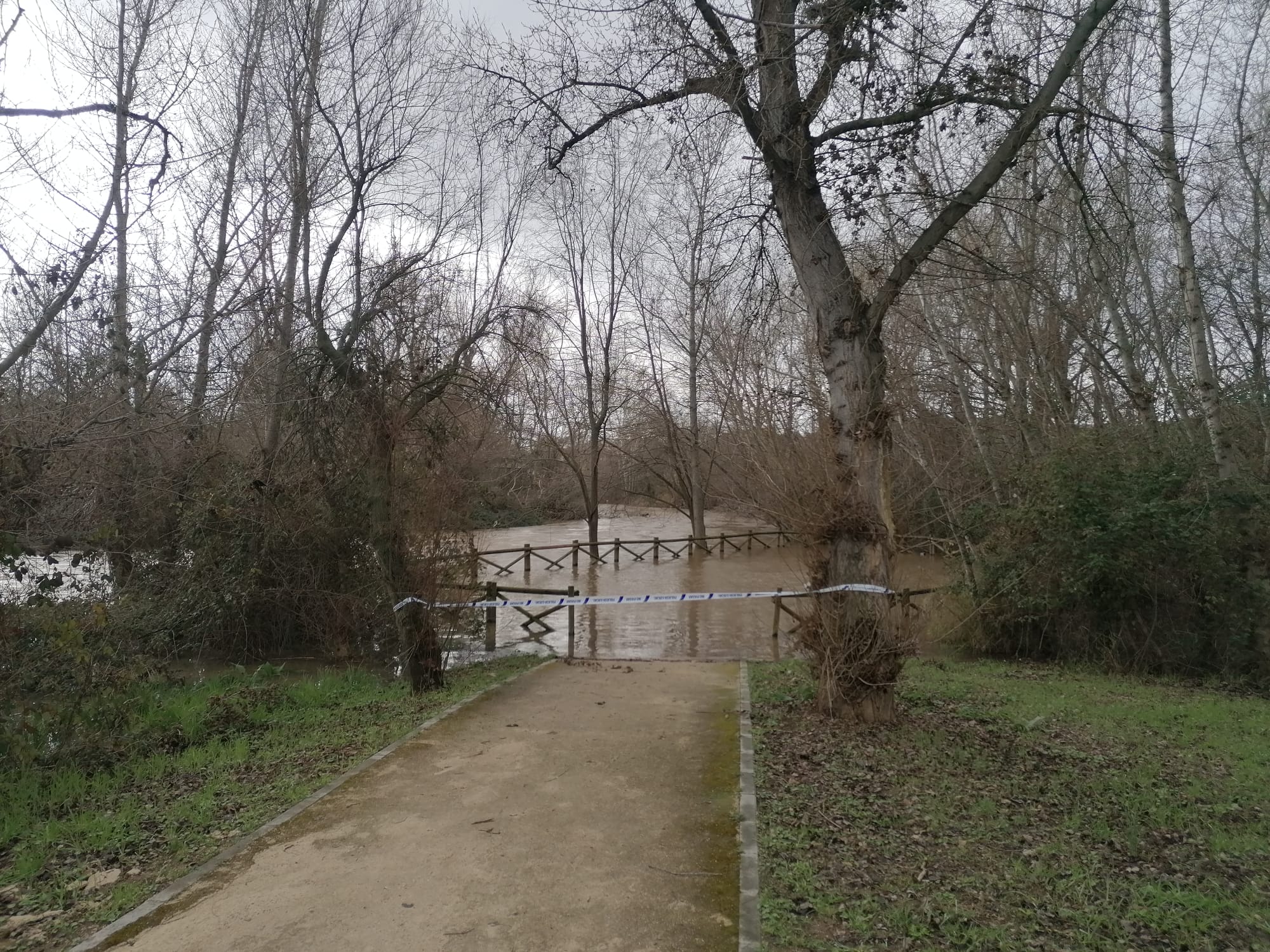 Mirador del parque fluvial del Henares inundado