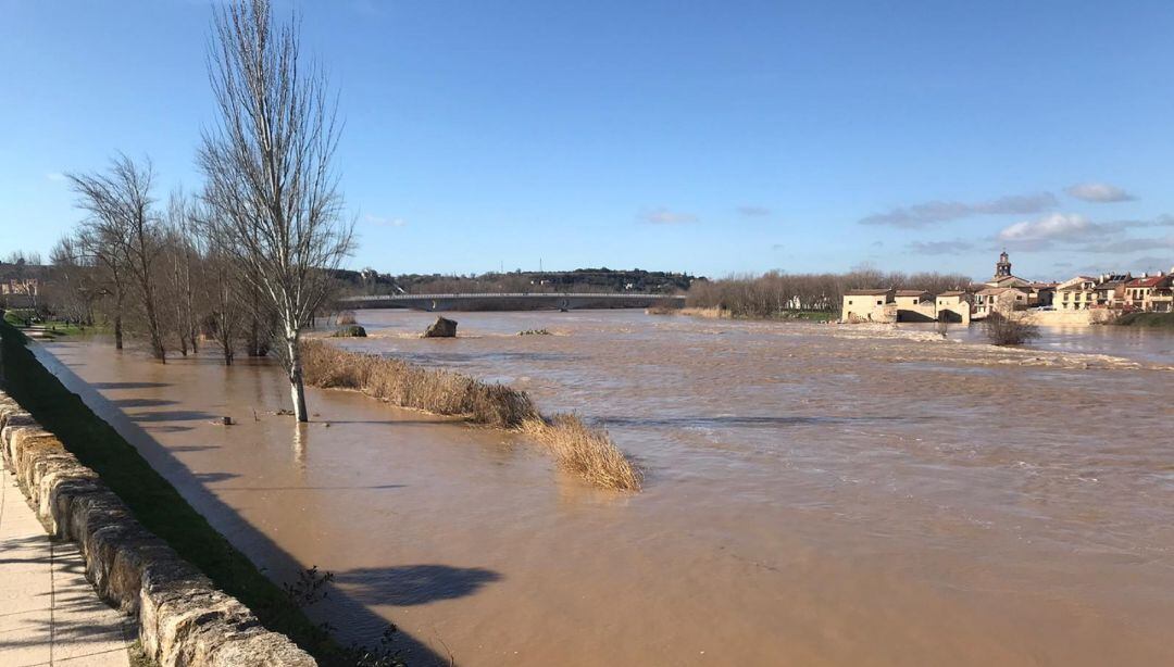 El Duero, hoy, a su paso por Zamora