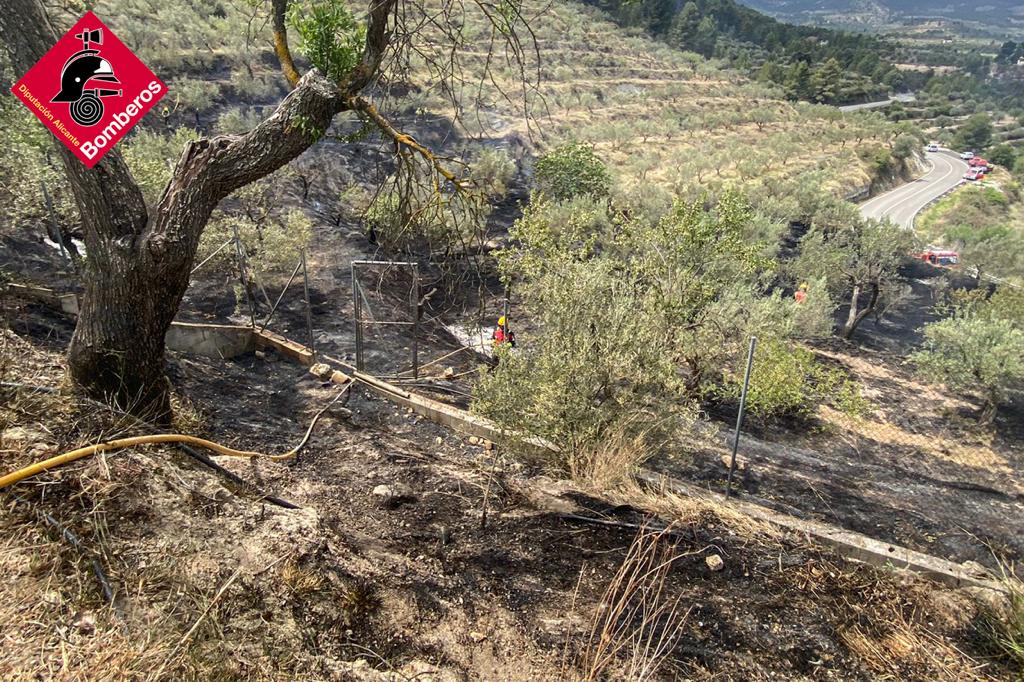 Las llamas han afectado a varios campos situados cerca de la carretera que une Benifallim y Penàguila.