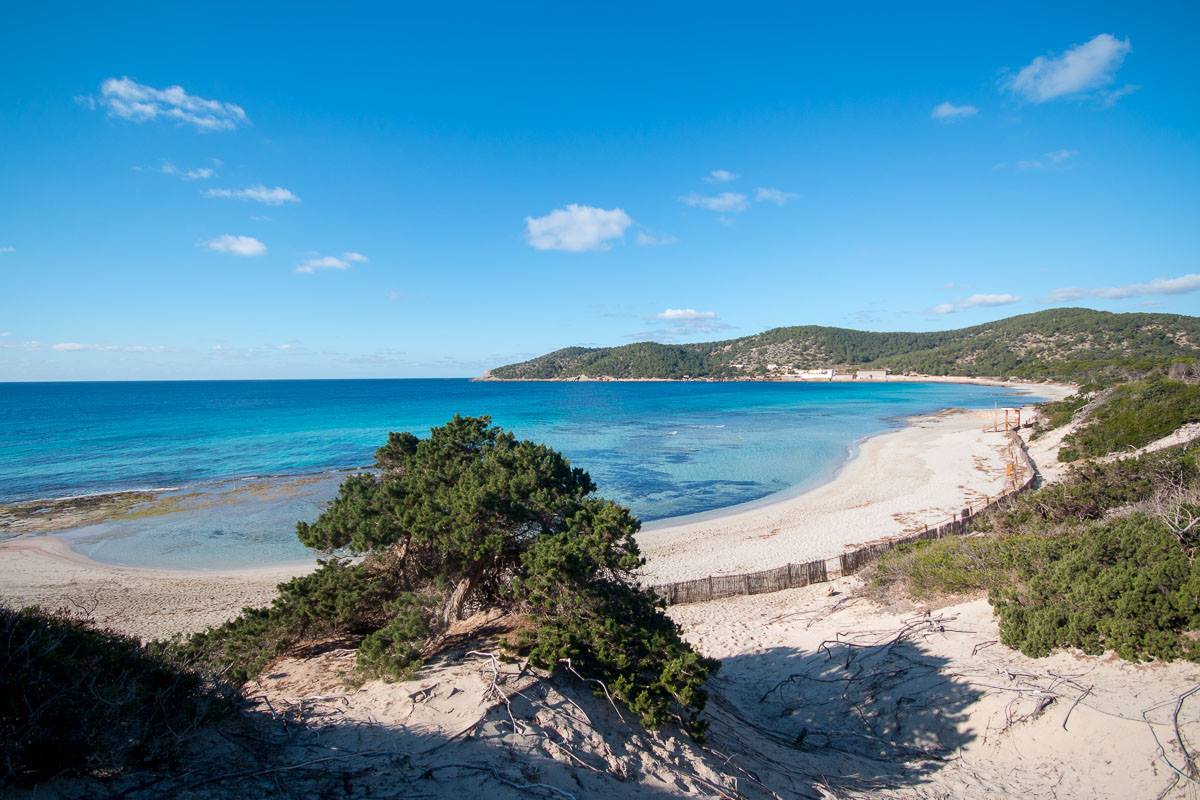 Imagen de la playa de ses Salines