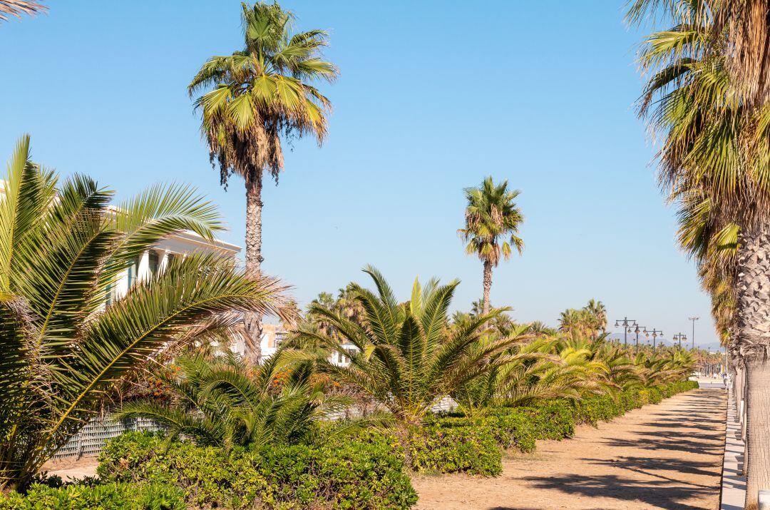 El paseo marítimo de València está dentro del Plan Especial del Cabanyal cuya tramitación ha paralizado el Gobierno central