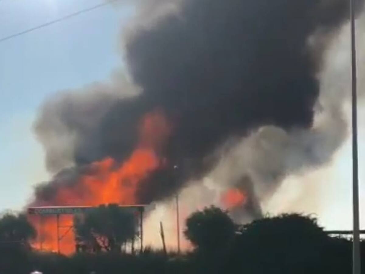 Un incendio quema 5.000 palots de la cooperativa de fruta de Tamarite de Litera