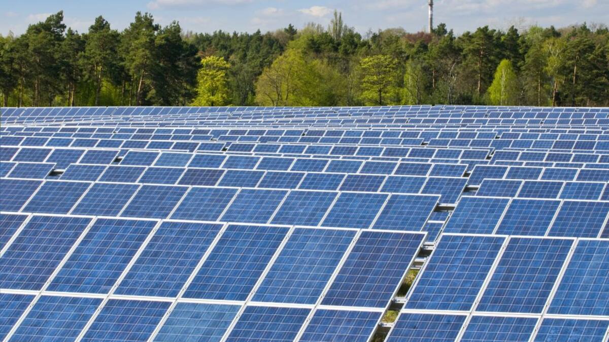 Sancedo alegará contra un parque solar