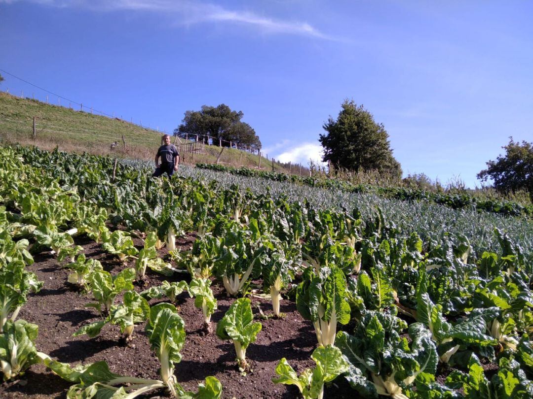 Aitor Gisasola posa en terrenos del caserío Sosola de Eibar