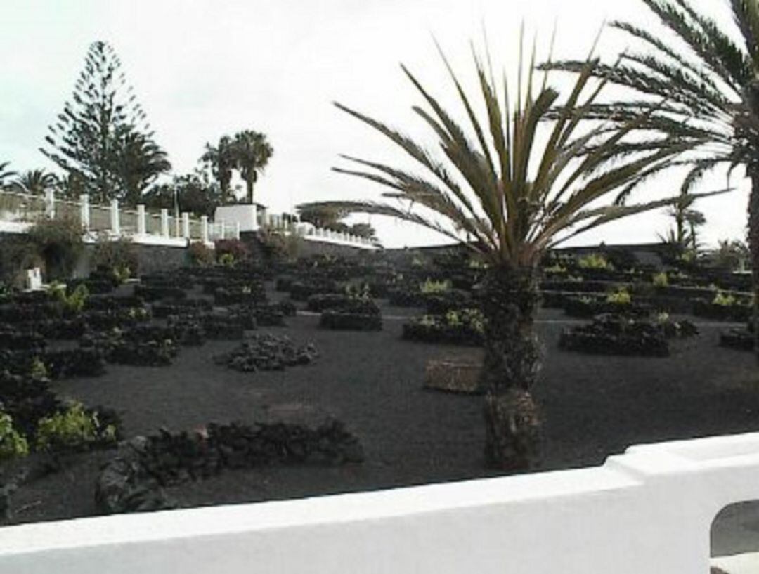 Centro de Día Las Cabreras,en Lanzarote.