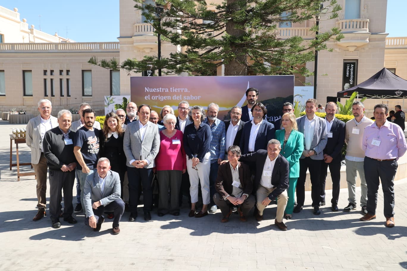 El aceite de oliva virgen de la provincia de Alicante quiere ser Denominación de Origen Protegida (DOP)