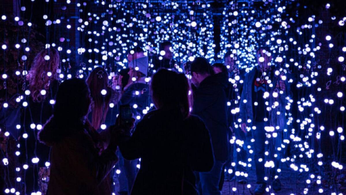 Les Llums de Vivers. Entrevista a Héctor Sánchez, productor creativo de Proactiv