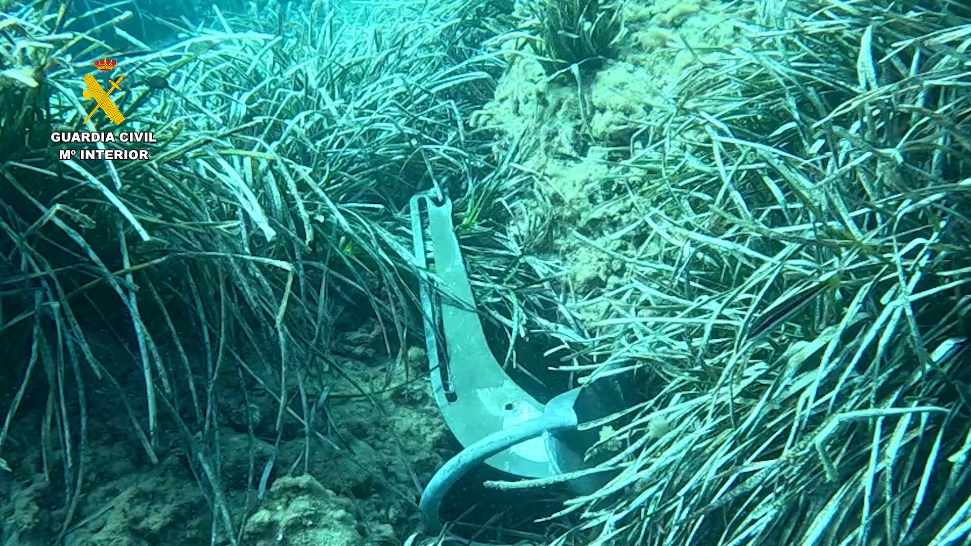 Fondeo sobre praderas de posidonia en Xàbia