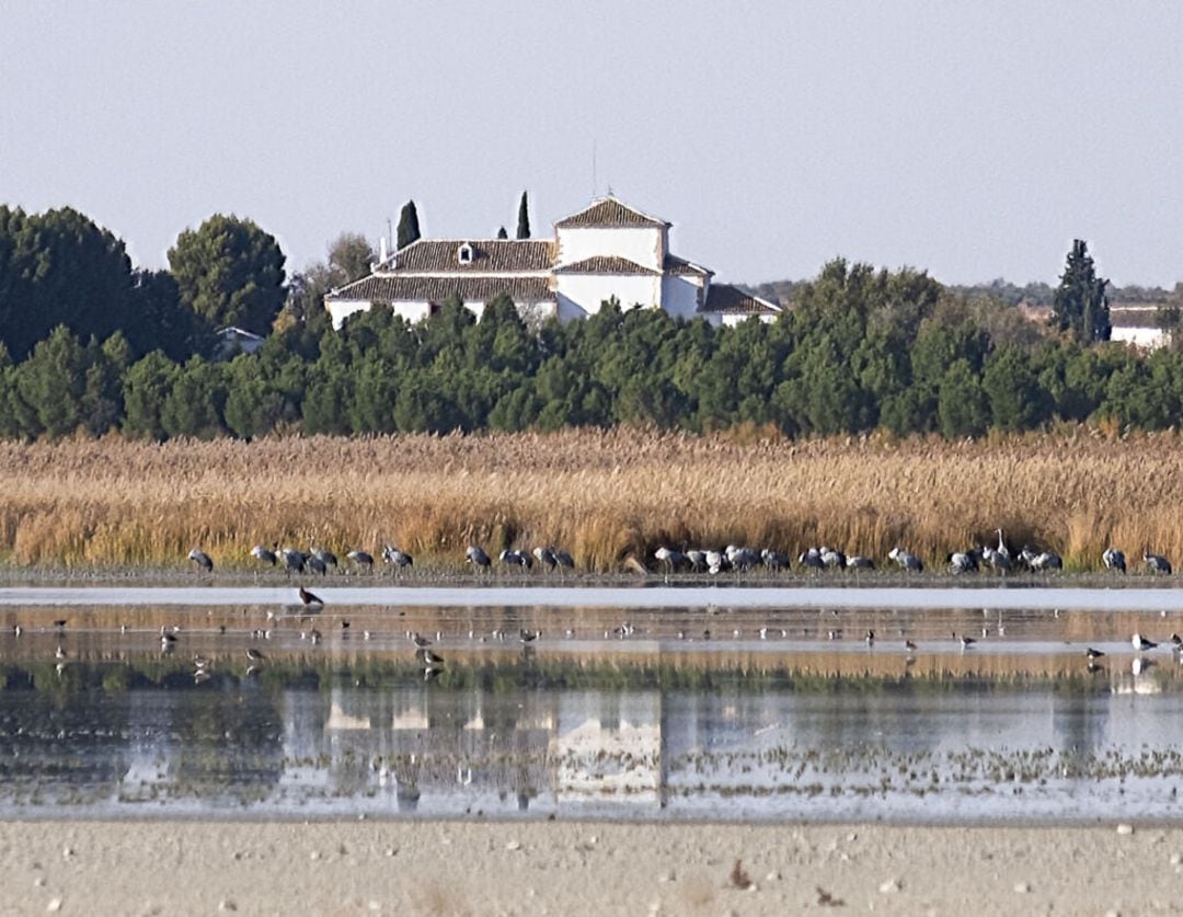 Laguna y santuario de Manjavacas, en Mota del Cuervo (Cuenca).