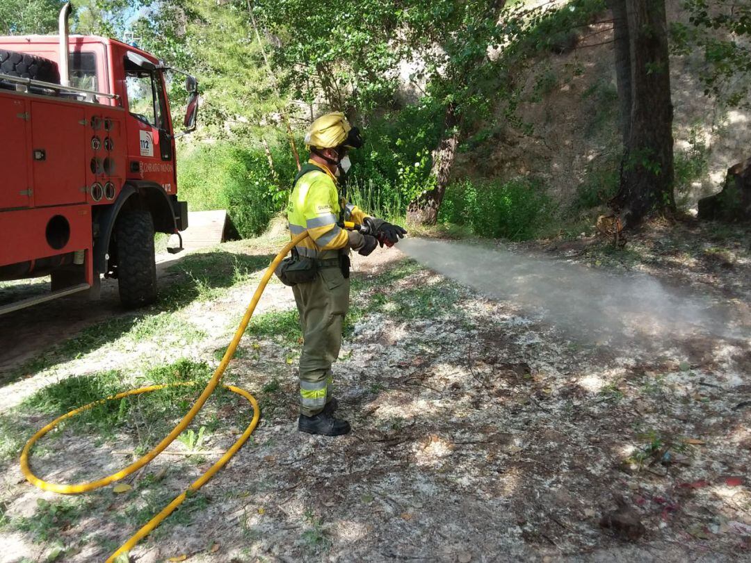 Un bombero forestal regando en una zona de acumulación de semillas del chopo.
