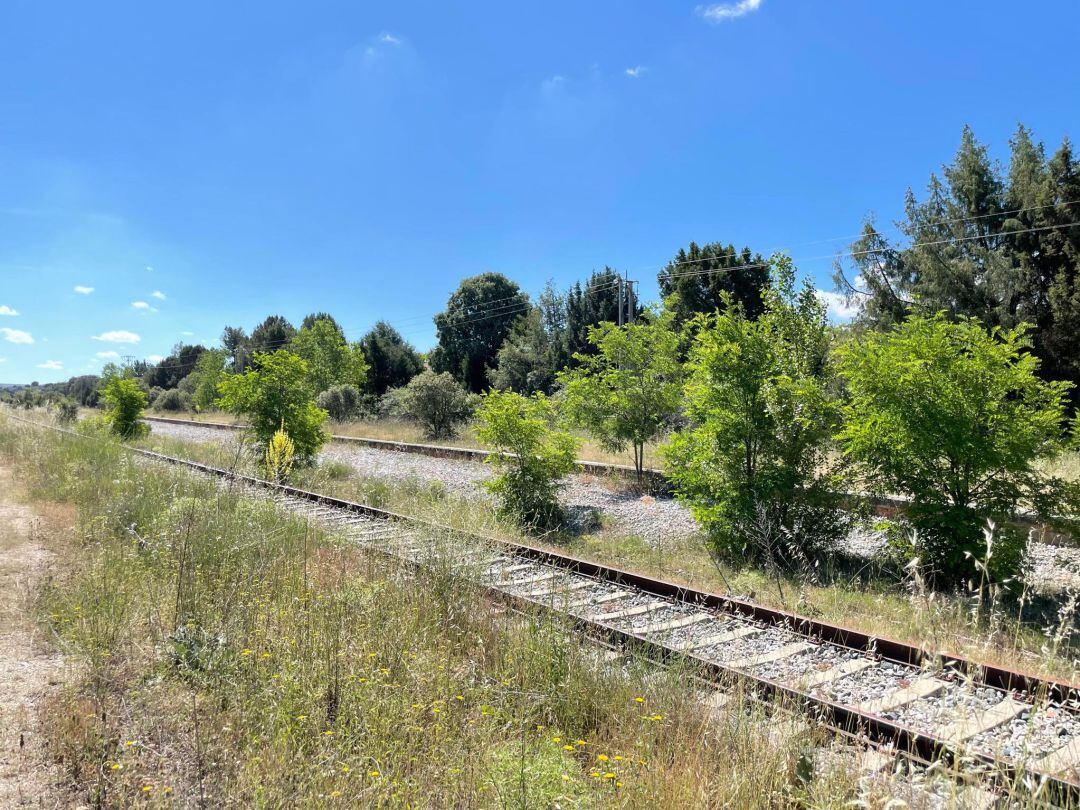 La línea se encuentgra prácticamente abandonada