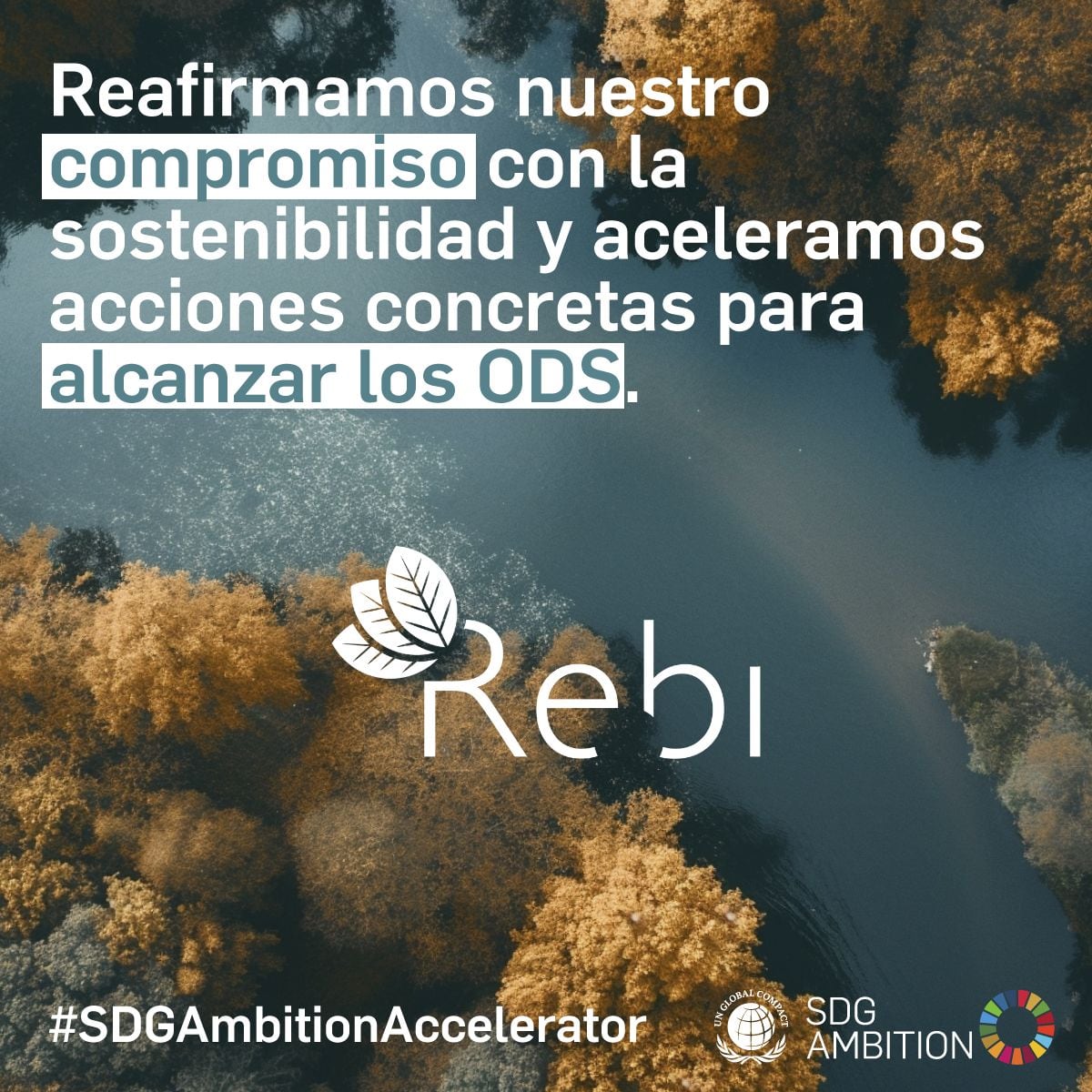 Rebi participa en el programa SDG Ambition del Pacto Mundial de la ONU