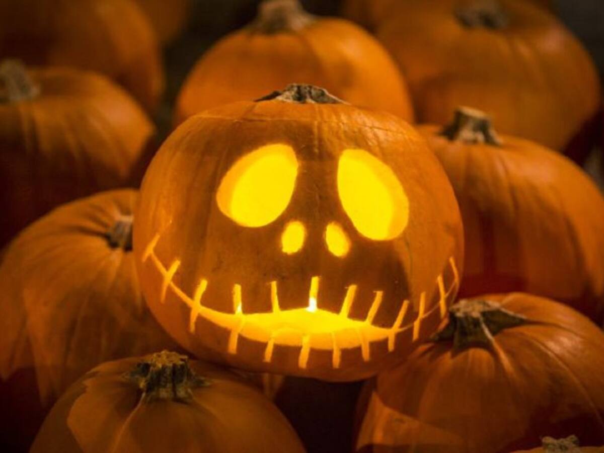 Noche de Halloween sin sustos