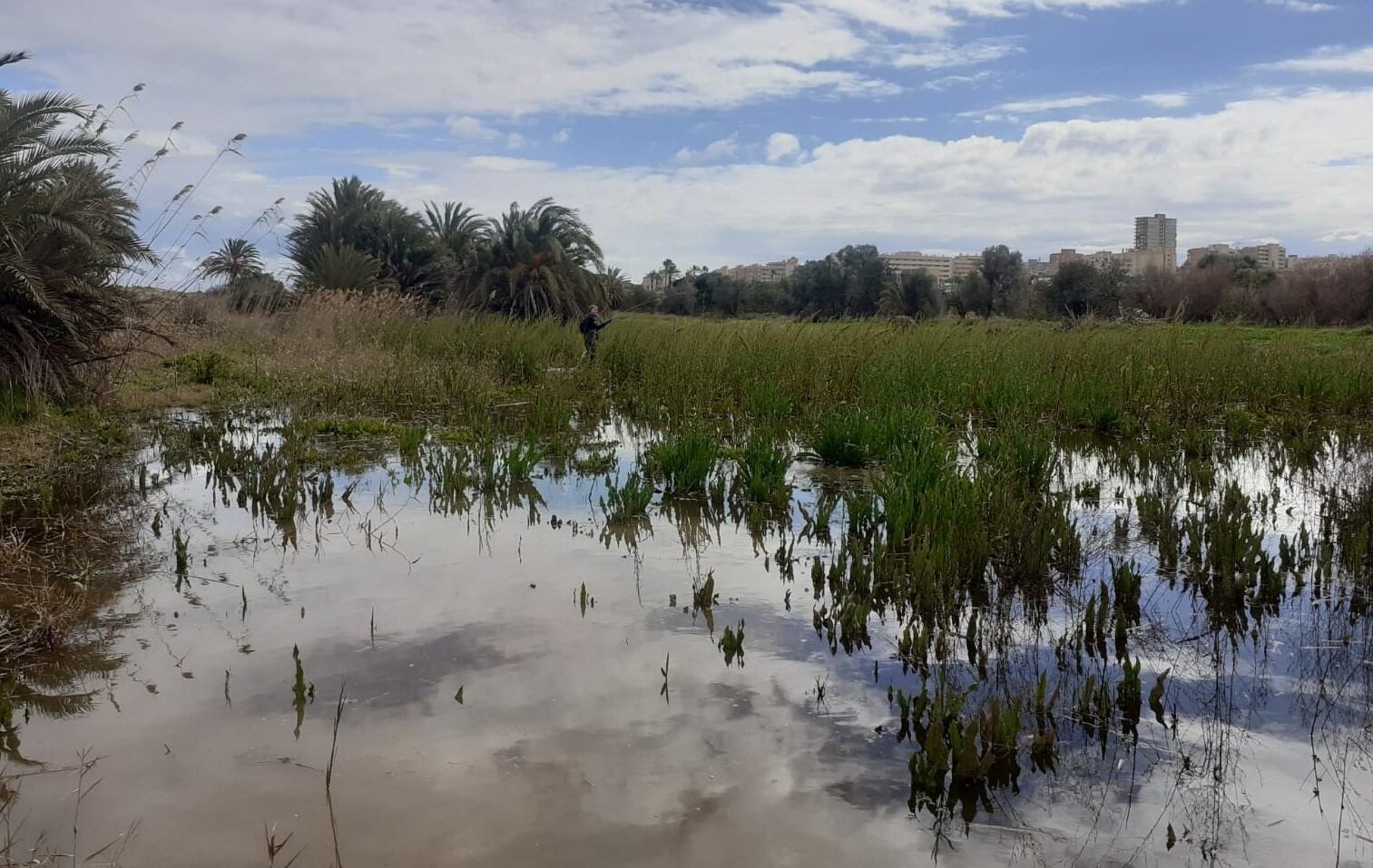 Imagen de una zona encharcada en Elche