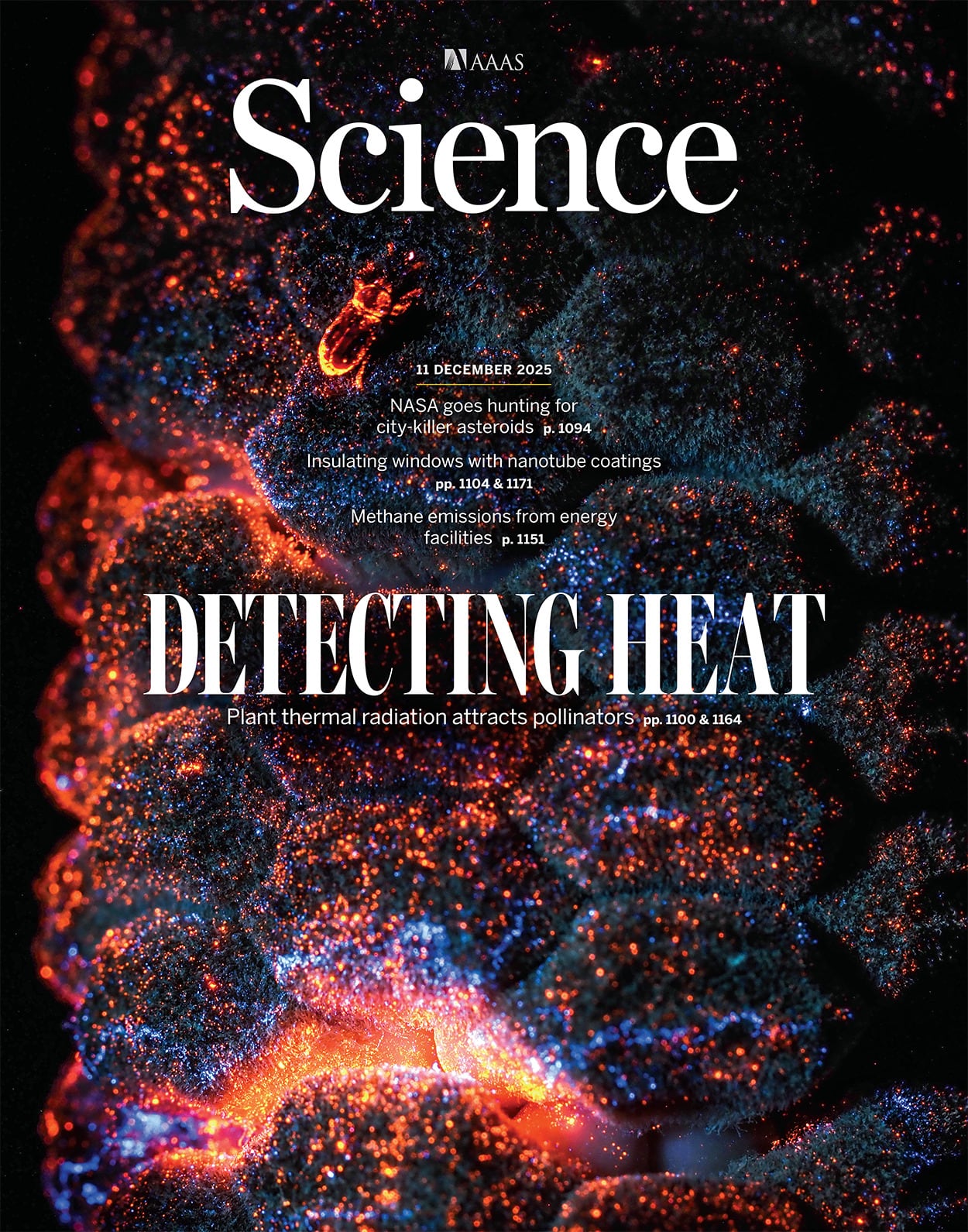 &quot;Detecting Heat&quot;, la portada de Science de esta semana