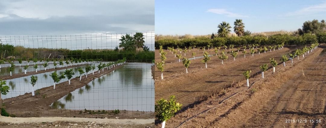 Camposde cultivo en Xeraco durante los días de lluvia y después 